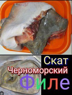 Філе чорноморського ската 86 фото
