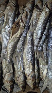 Кефаль велика, м'яка, чищена 868 фото